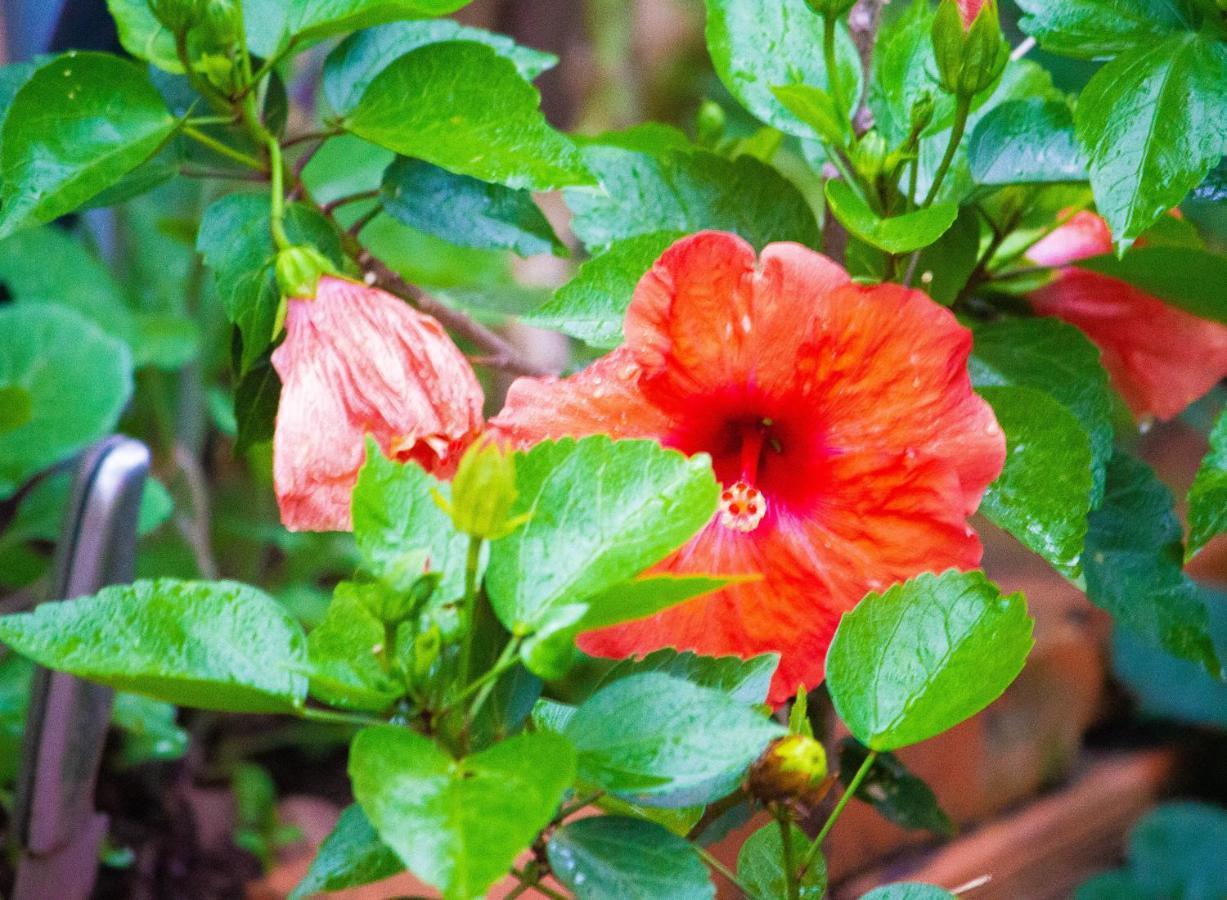 São João Batista do Glória Pousada Raio De Sol מראה חיצוני תמונה